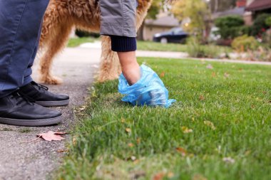 Adam alacak / köpek pisliği Temizleme