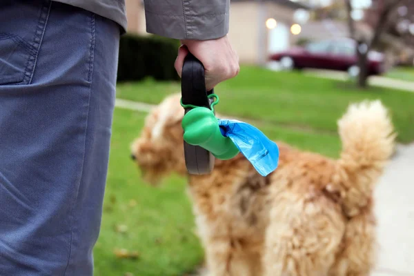 Hombre Recogiendo Limpiando Excrementos Perro — Foto de Stock