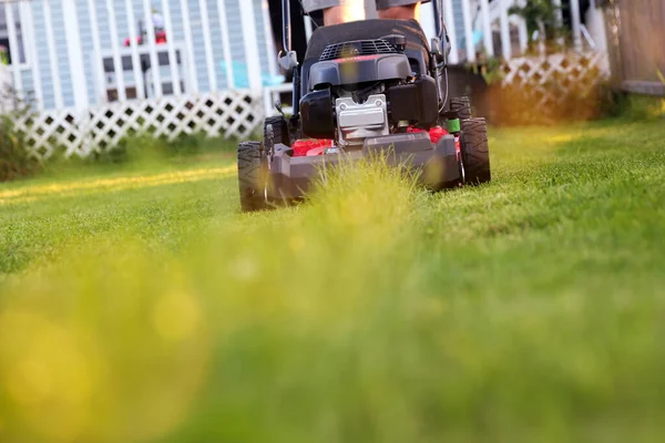 晴れた日に芝生の芝刈り機で草を刈る 庭師は庭の芝生を切ります 芝刈り機シーズン — ストック写真