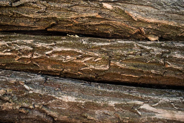 大块的木头相互折叠在一起 甲板堆放 — 图库照片