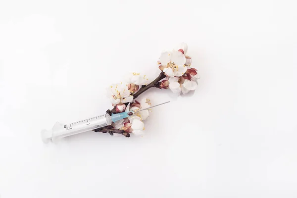 Σύνθεση Ανθισμένου Κλαδιού Βερίκοκου Και Ιατρικής Σύριγγας Λουλούδια Στο Εσωτερικό — Φωτογραφία Αρχείου