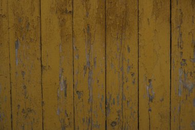 Ayrı ahşap parmaklıklardan yapılmış parlak ahşap çitler. Kapat.