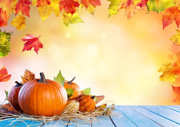 Thanksgiving Background - Pumpkins On Wooden Plank And Falling Leaves — Stock Photo, Image