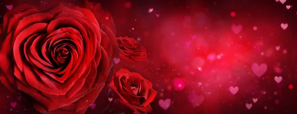 Valentine Card - Roses And Hearts In Romantic Background — Stock Photo, Image