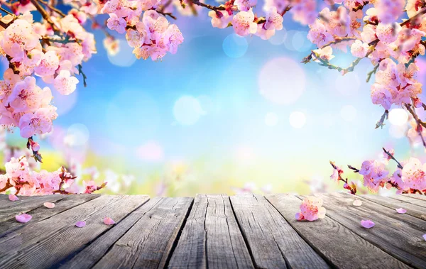 Wyświetlaczu wiosną - różowe kwiaty na drewnianym stole — Zdjęcie stockowe