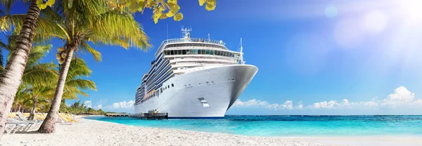 Crucero al Caribe con palmeras - Vacaciones en la playa tropical —  Fotos de Stock