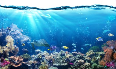 Underwater Scene With Reef And Tropical Fish clipart