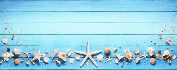 Αστερίες και το θαλασσινό κοχύλι σε μπλε σανίδα — Φωτογραφία Αρχείου