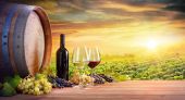 Sklenice na víno a láhev s barelem na vinici při západu slunce