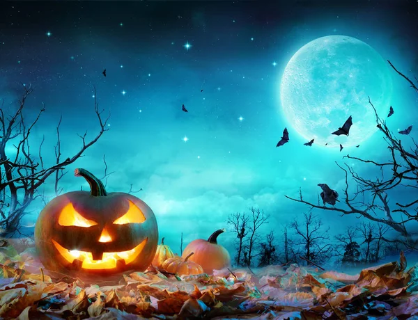 Pumpa glödande på Moonlight i kusliga skogen - Halloween scen Stockfoto