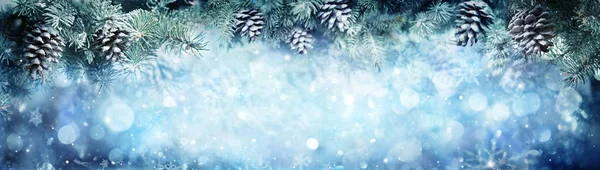 Winterliches Banner - verschneite Tannenzweige mit Schneefall — Stockfoto