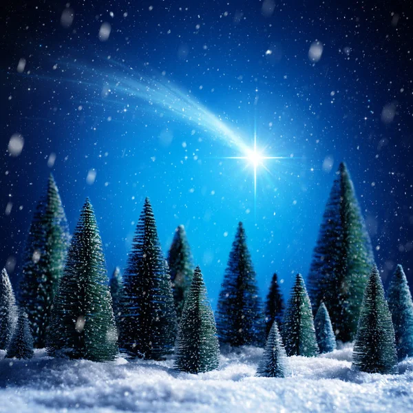 Christmas Star Shotting In Snowy Night On Silent Forest — Stock Photo, Image