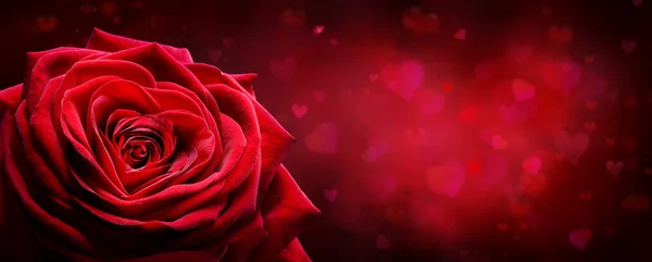情人卡 红玫瑰在浪漫的背景下形成心 — 图库照片