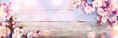 Jarní Banner - růžové květy na dřevěné prkno