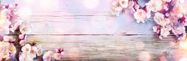 Spring Banner - Pink Blossoms On Wooden Plank clipart