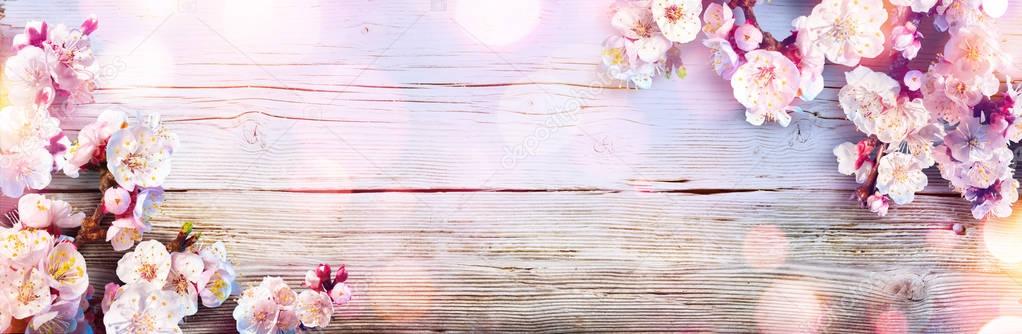 Banner de primavera - Flores rosadas en tablón de madera — Imagen de stock Banner Primavera Flores Rosadas Tablón Madera Fotos De Stock