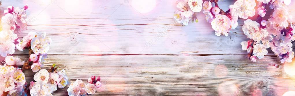 Spring Banner - Pink Blossoms On Wooden Plank