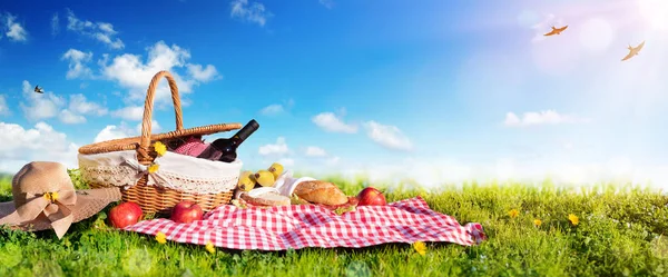 Picknick Korb Mit Brot Und Wein Auf Der Wiese — Stockfoto