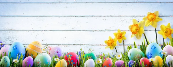 Páscoa Daffodils Ovos Com Fundo Madeira Velha — Fotografia de Stock