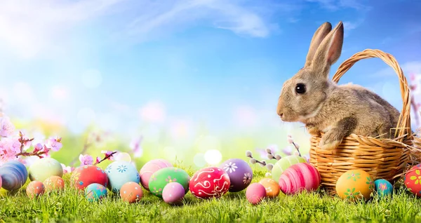 Mały Króliczek Koszyku Ozdobionymi Jajkami Kartka Wielkanocna — Zdjęcie stockowe