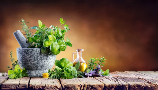 Aromatiska Örter Med Murbruk Färska Kryddor För Matlagning — Stockfoto