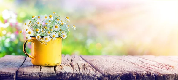 花园木桌上茶杯的春甘菊花 — 图库照片