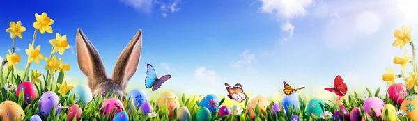 Wielkanoc Bunny Pisanki Kwieciste Pole — Zdjęcie stockowe
