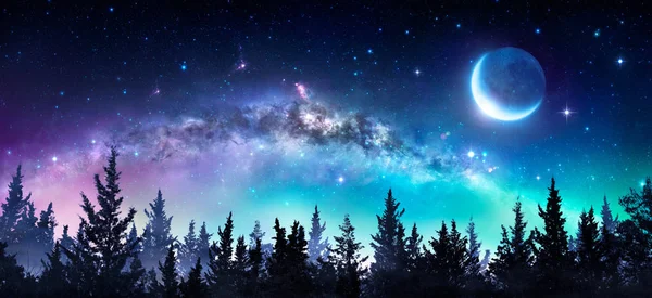 Milky Way Moon Night Forest — Stock Photo, Image