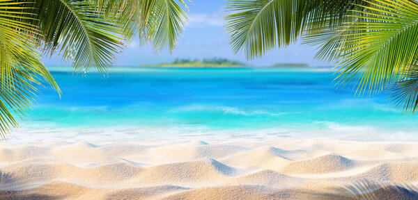 Tropical Sand Palm Leaves Paradise Island — Stock Photo, Image