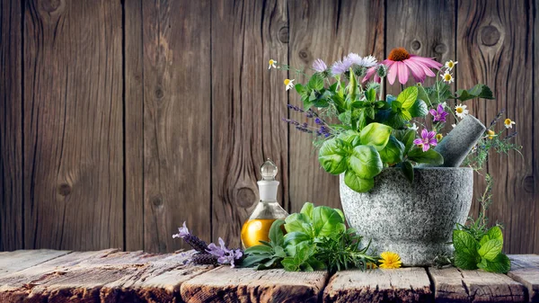 Healing Herbs Essential Oil Bottle Mortar Homeopathy Alternative Medicine — Stok Foto