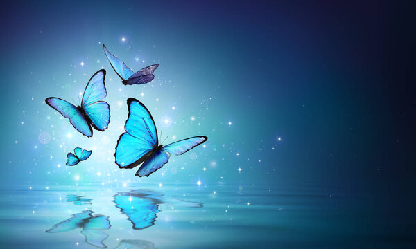 Голубые бабочки на воде
