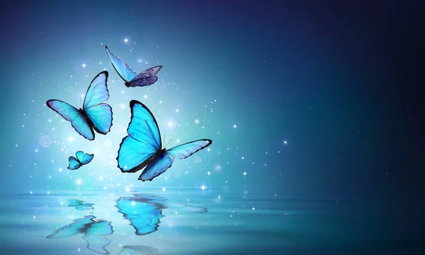 Butterfly background Stock Photos, Royalty Free Butterfly background Images | Depositphotos Butterfly background Stock Photos, Royalty Free Butterfly background Images | Depositphotos