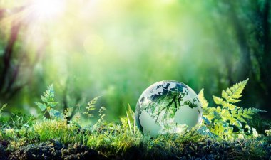 Globe On Moss In Forest - Environmental Concept clipart