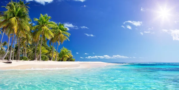 Palm Beach Tropiskt Paradis Guadalupeön Karibien — Stockfoto