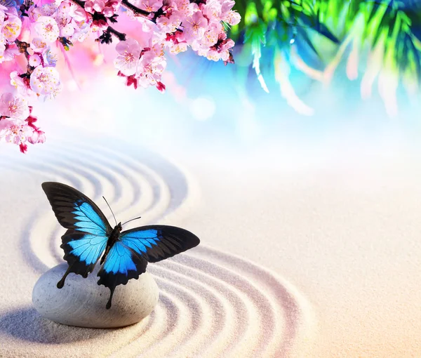 Pillangó Sakura Virágokkal Koncepció Zen Japán Sziklakert — Stock Fotó