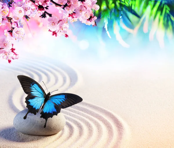 Schmetterling Japanischen Steingarten Mit Sakura Blüten Zen Konzept — Stockfoto