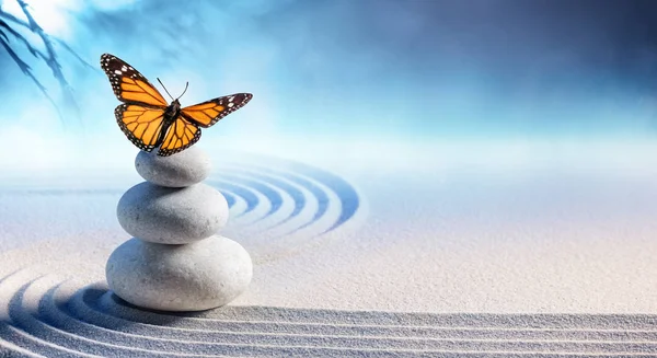 Butterfly Spa Massage Stones Zen Garden — Stock Photo, Image