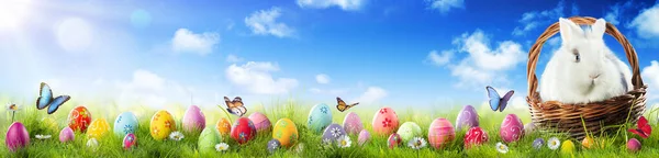 Easter Eggs Adorable Bunny Basket Grass — Stock Photo, Image