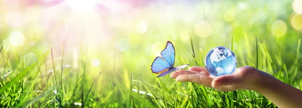 Mariposa Encuentro Humano Mano Con Vidrio Globe Amor Cuidado Ambiente — Foto de Stock