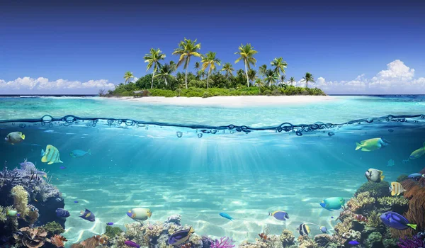 Split View Tropical Island Coral Reef — Fotografie, imagine de stoc