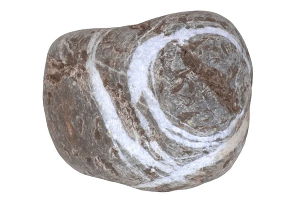 Deniz taşları, deniz kıyısından, dokusal, stüdyoda çekilmiş.