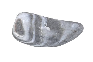 İzole edilmiş, deniz taşı, katmanlı dokusu olan bir stüdyoda çekilmiş..