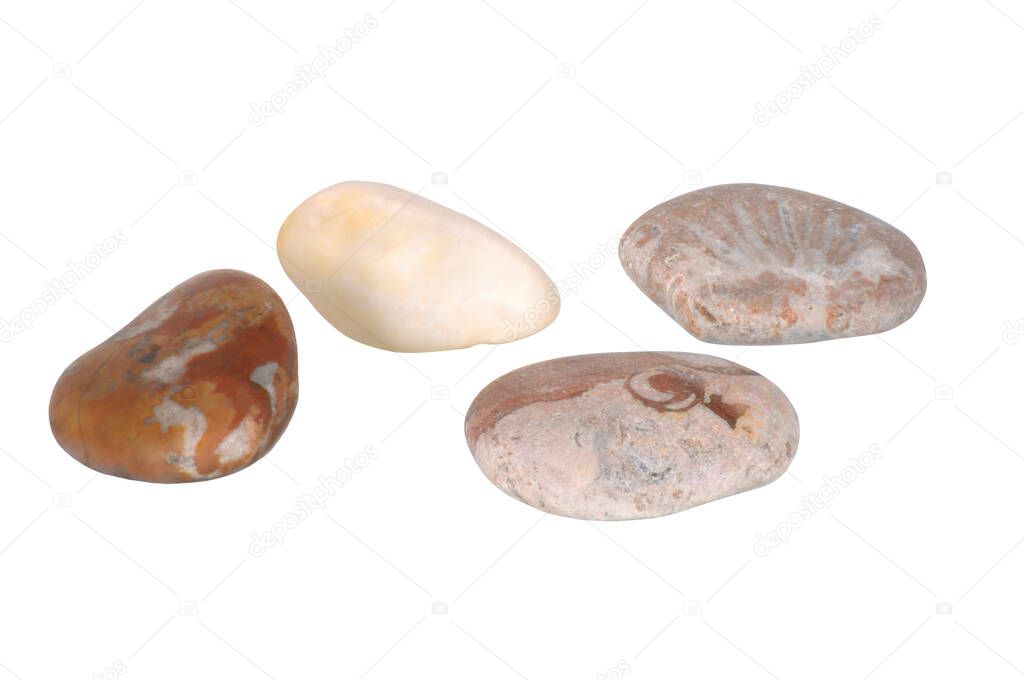 A group of stones of different structures, with a texture pattern, photographed under studio lighting.