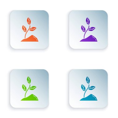 Beyaz arka planda izole renkli Sprout simgesi. Tohum ve fide. Yaprak işareti. Yaprak doğası. Renkli kare düğmeleri simgeleri ayarlayın. Vektör Illustration