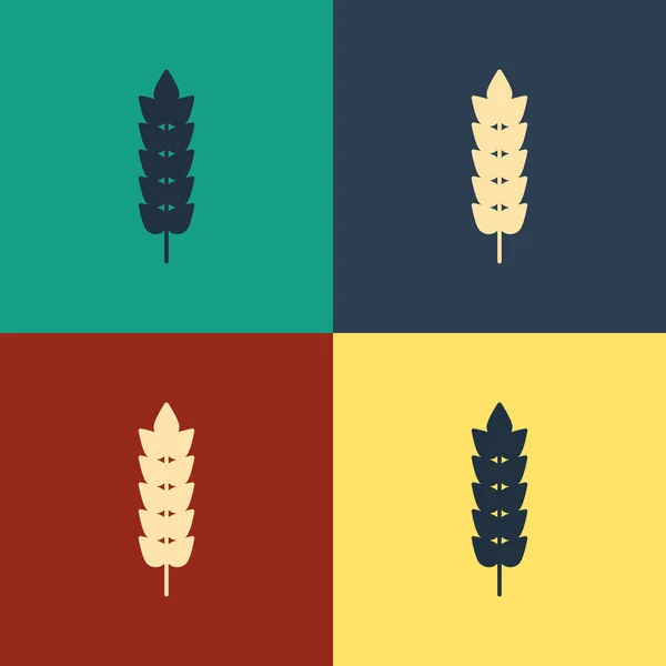 Farb-Getreide mit Reis, Weizen, Mais, Hafer, Roggen, Gerste Symbol isoliert auf farbigem Hintergrund eingestellt. Ähren von Weizenbrot Symbole. Vintage-Stil Zeichnung. Vektorillustration — Stockvektor