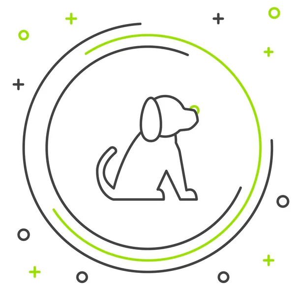 Linha preto e verde ícone do cão isolado no fundo branco. Conceito de esboço colorido. Ilustração vetorial —  Vetores de Stock