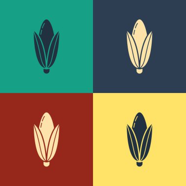 Renkli Mısır simgesi renk arkaplanında izole edildi. Klasik tarzda çizim. Vektör İllüstrasyonu