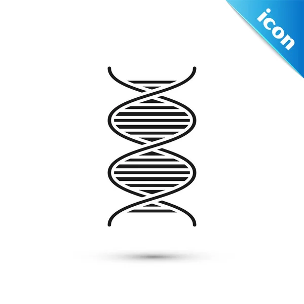 Black DNA symbol icon isolated on white background. Vector Illustration — Stock Vector