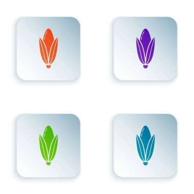 Beyaz arkaplanda izole edilmiş renkli mısır simgesi. Renkli kare düğmelere simgeleri yerleştir. Vektör İllüstrasyonu