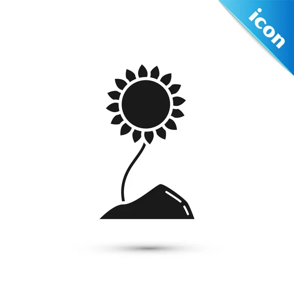 Schwarzes Sonnenblumensymbol isoliert auf weißem Hintergrund. Vektorillustration — Stockvektor